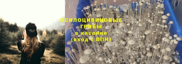 кокс Алексеевка