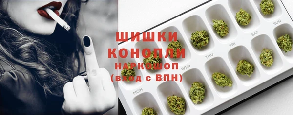 МДПВ Ельня