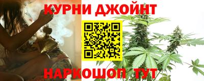 шишки Пугачёв