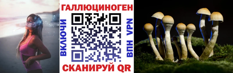 mega зеркало  Черкесск  Галлюциногенные грибы GOLDEN TEACHER 