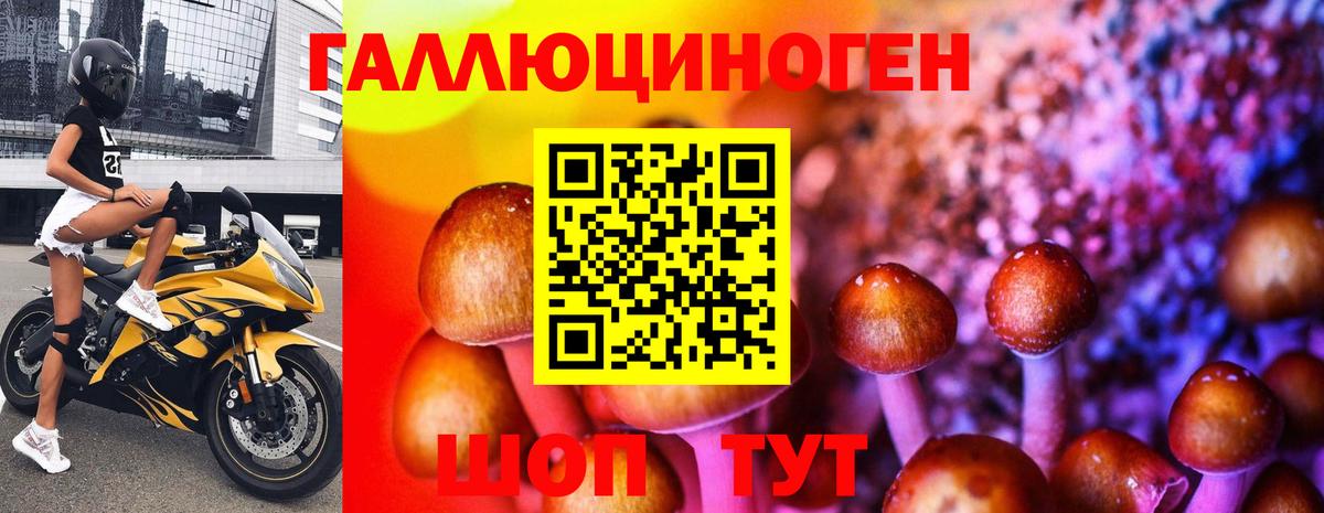 Псилоцибиновые грибы мухоморы Черкесск