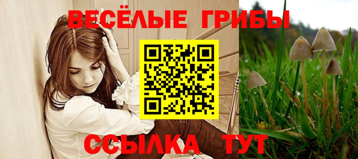 Псилоцибиновые грибы мухоморы  Вход с VPN  Черкесск  Псилоцибиновые грибы GOLDEN TEACHER 